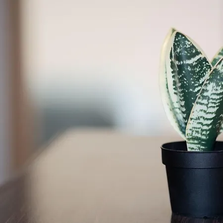 O Melhor Spot Para Ferias! *